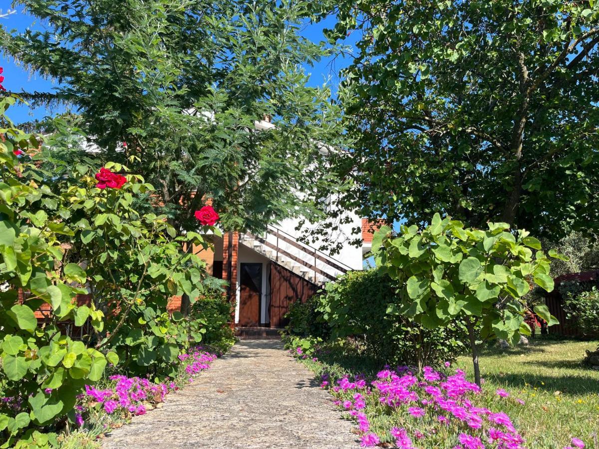 Annamaria Home Pula Zewnętrze zdjęcie